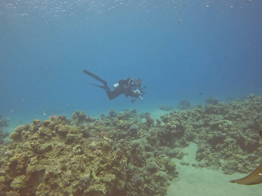 iDive Diving Centre-马卡迪湾必去景点