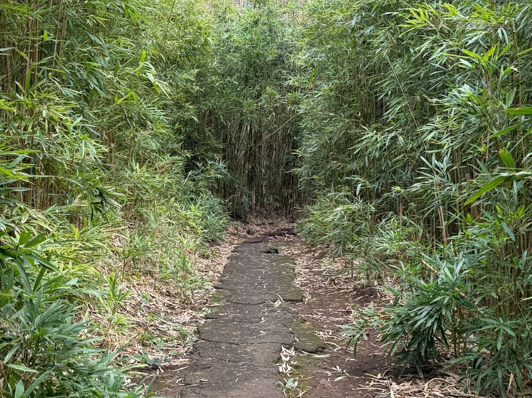 Kepaniwai Park & Heritage Gardens-怀露库必去景点