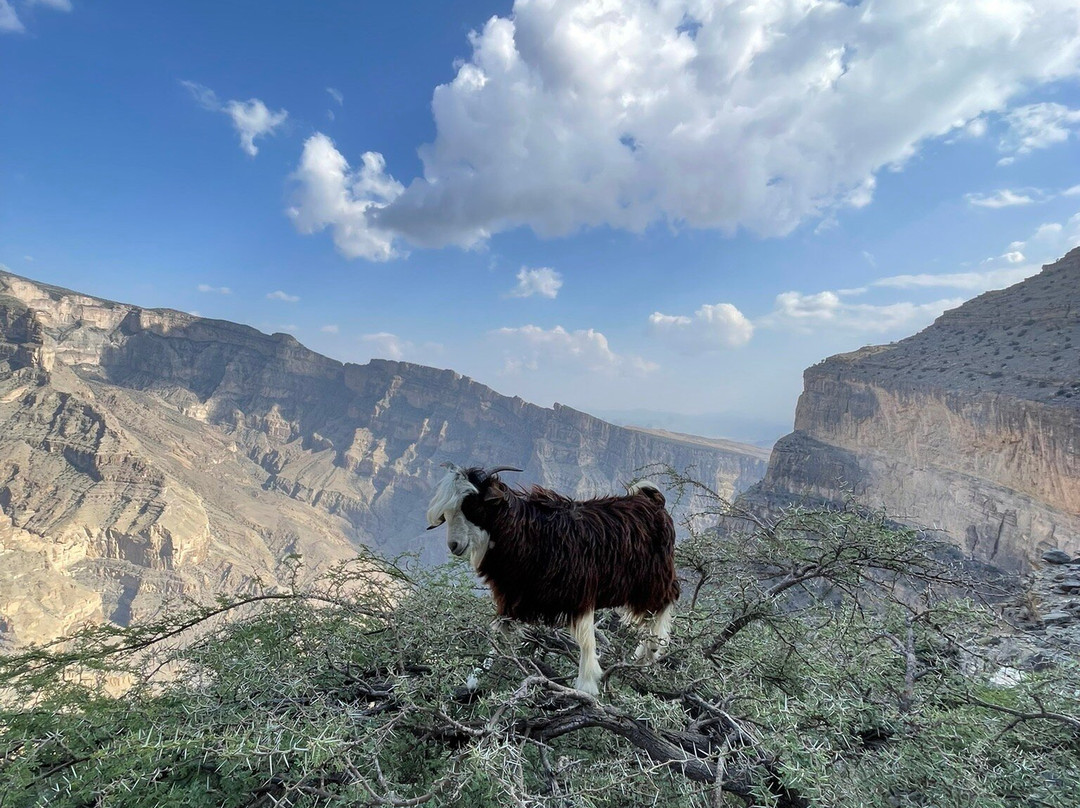 Jebel Shams-Jabal Shams必去景点