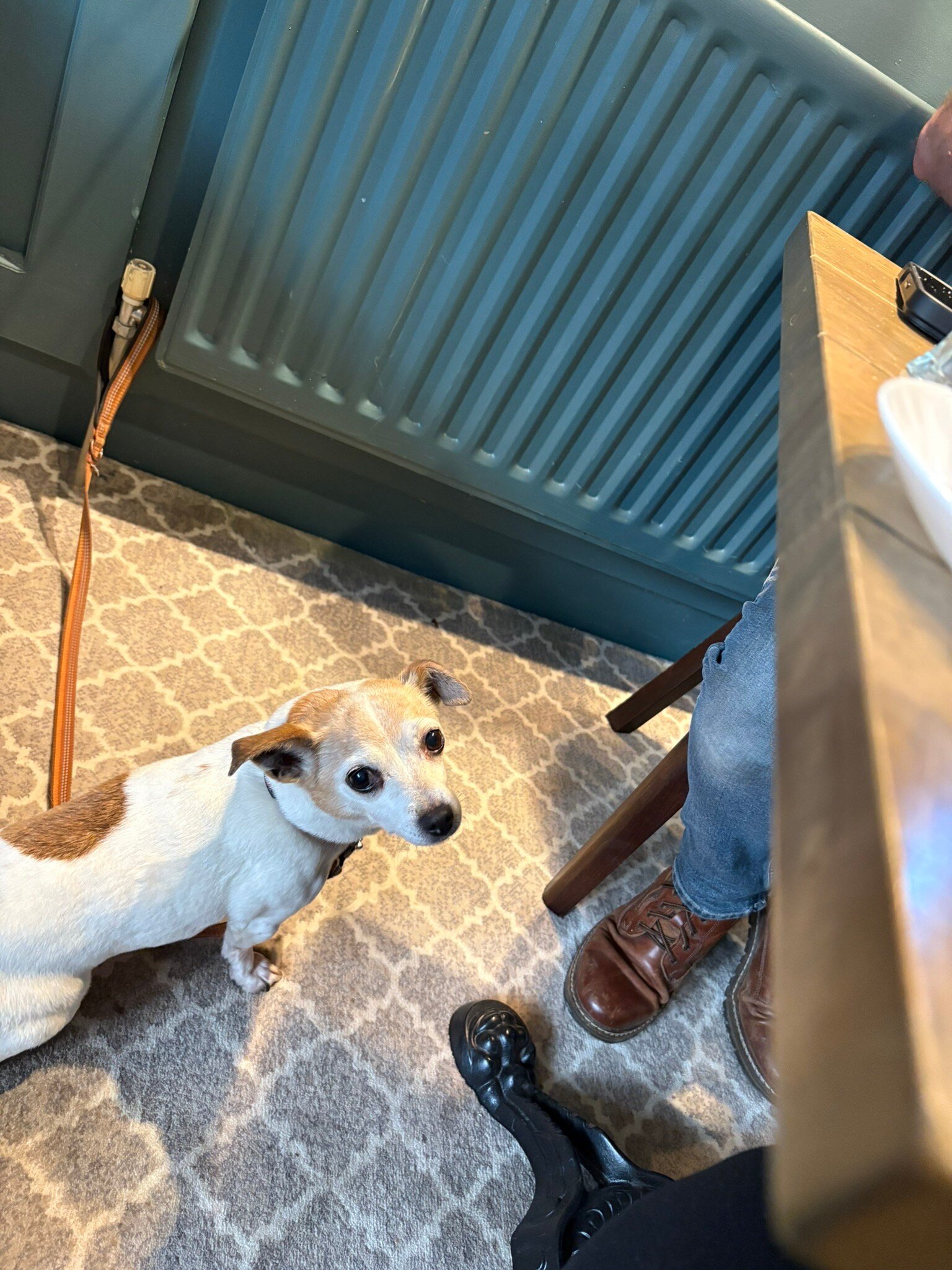 The Vines Bar Rooms-官方