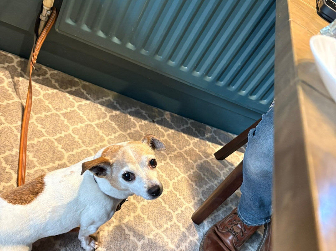 The Vines Bar Rooms主图