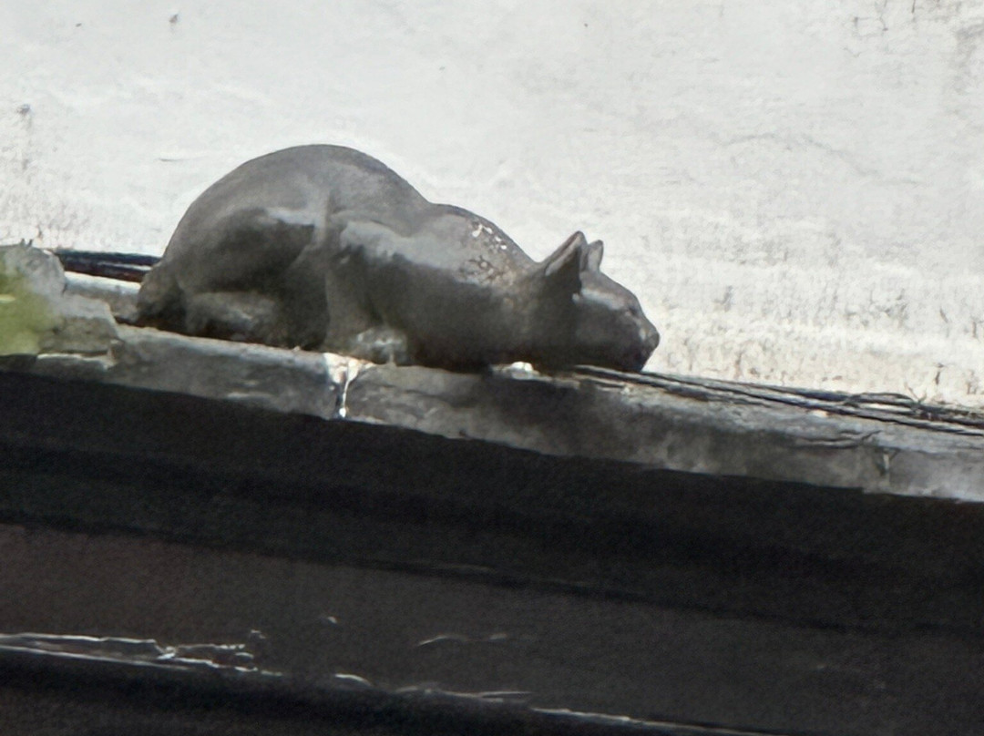 York Cat Trail-约克必去景点