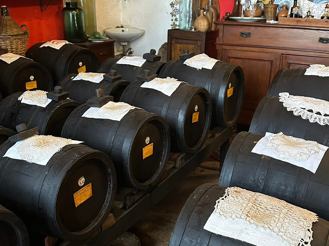 Acetaia San Matteo-摩德纳必去景点