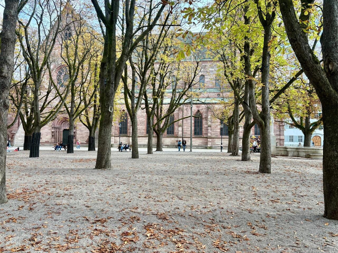 Müensterplatz-巴塞尔必去景点