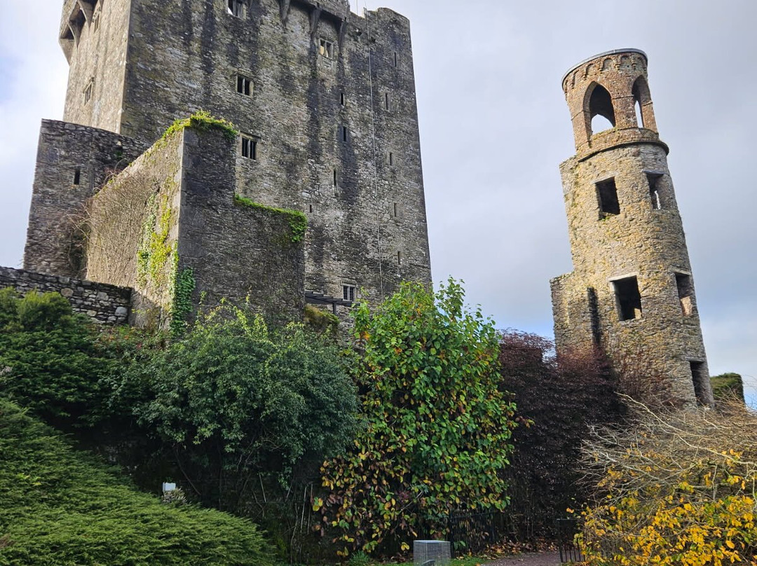 Love Irish Tours-都柏林必去景点