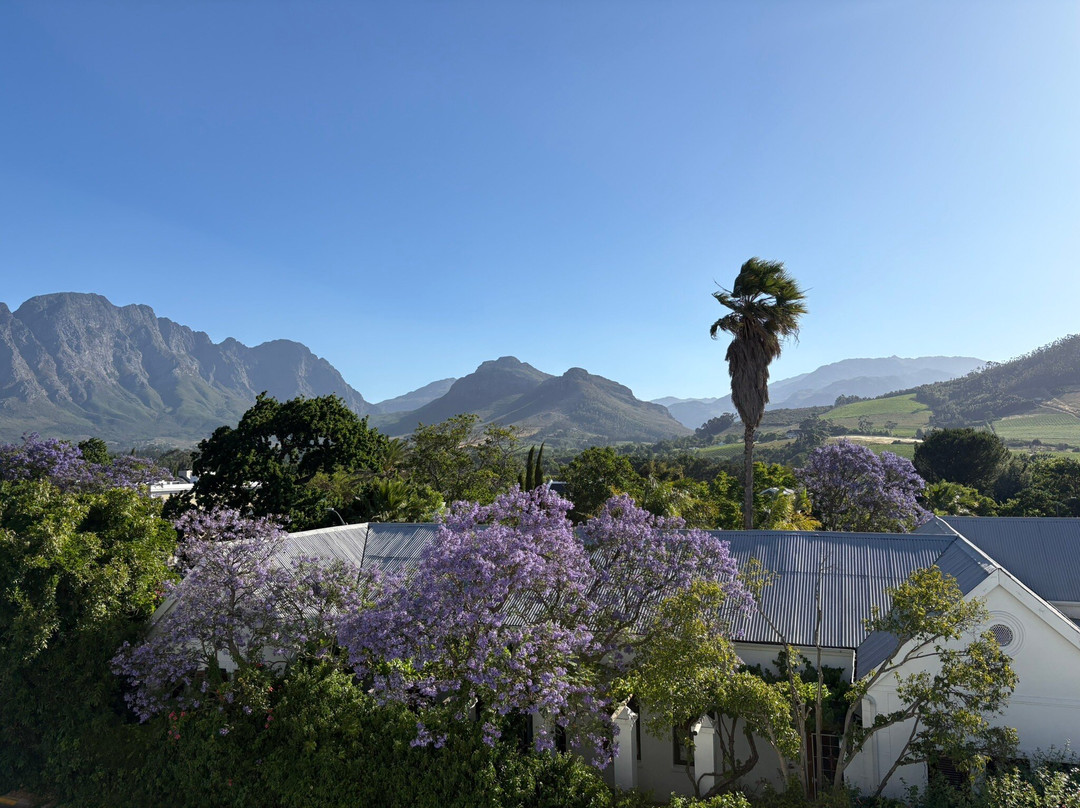Franschhoek Boutique Hotel主图