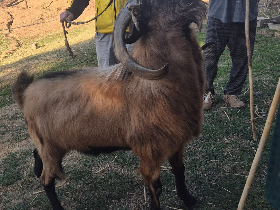 Trawelco - Turkmenistan Awaits-阿什哈巴德必去景点