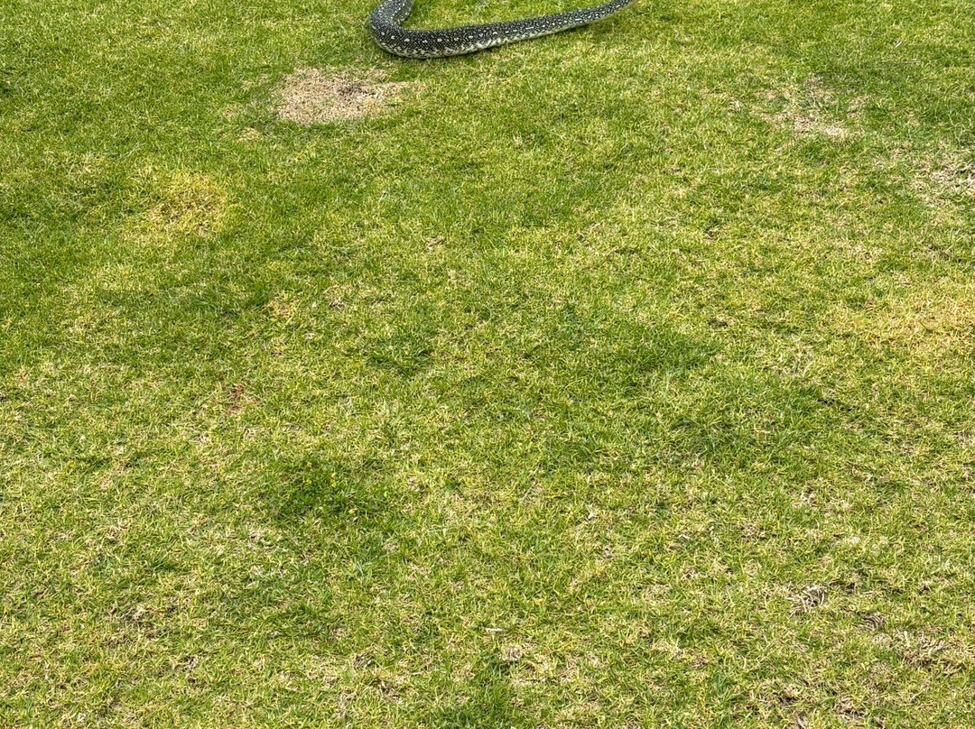Kangaroo Island Wildlife Park-塞登必去景点