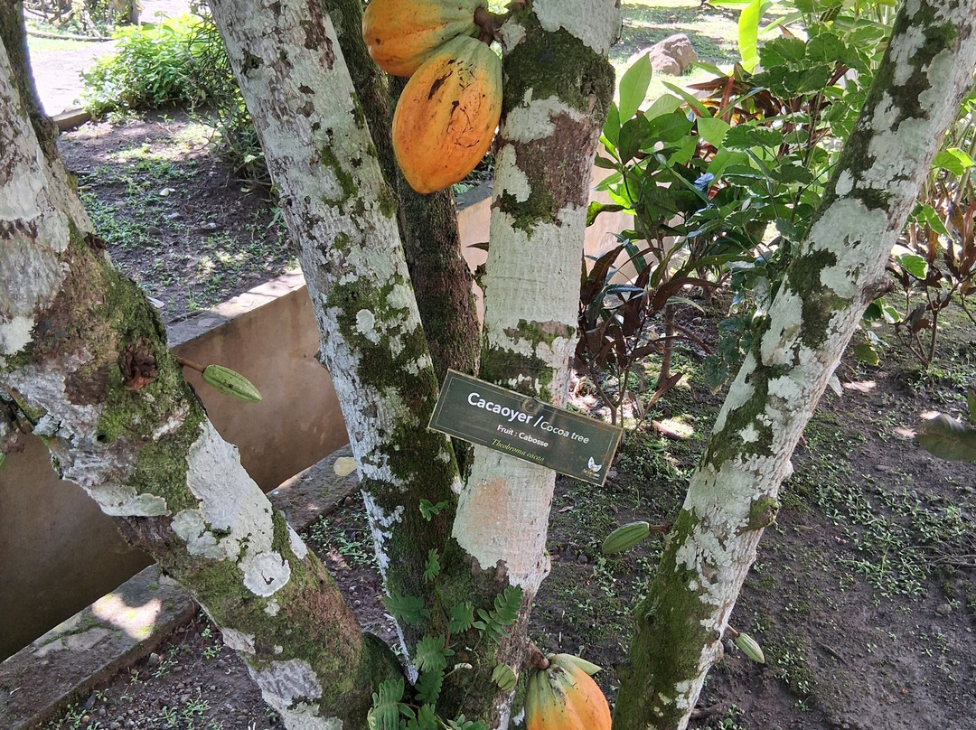 La Savane des Esclaves-Trois-Ilets必去景点