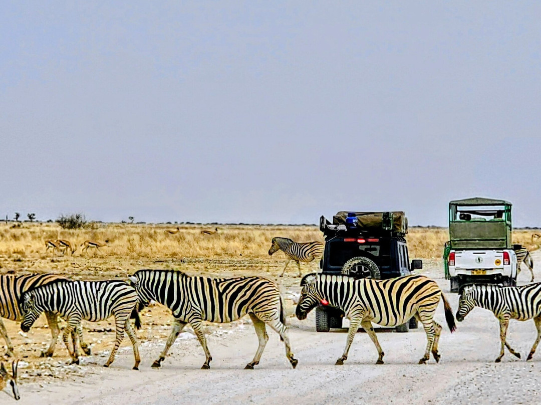 Etosha National Park-Okaukuejo必去景点