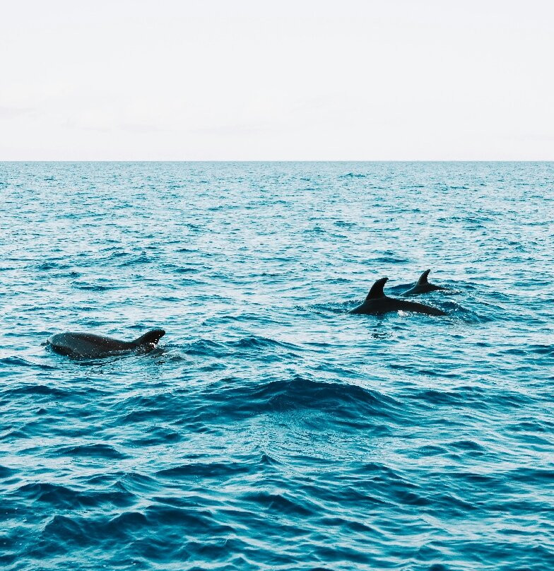 Karlos Excursions-莫纳山必去景点