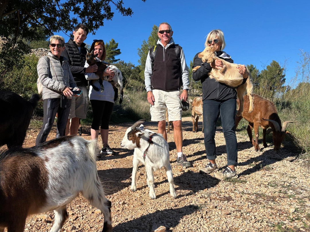 Euro Goat Trekkers-Tarbena必去景点