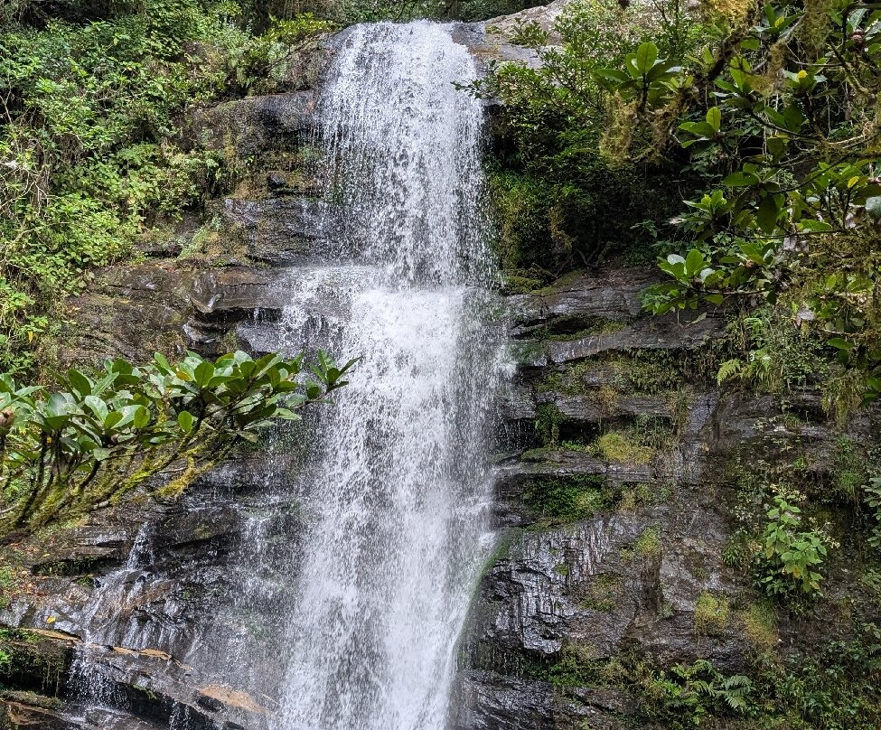 Ranomafana National Park-Fianarantsoa必去景点