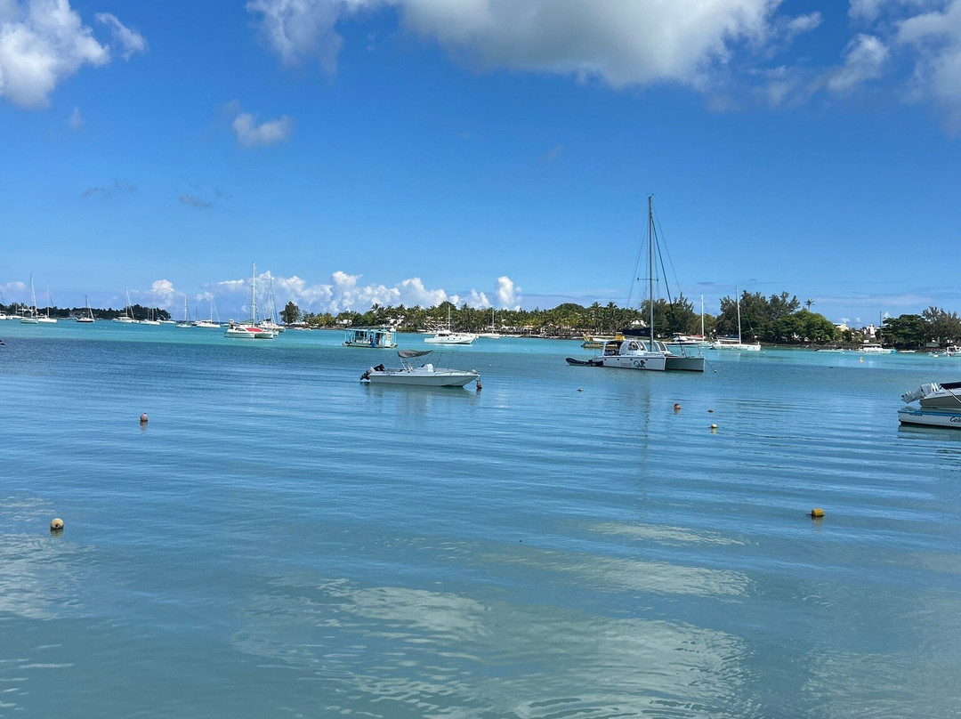 TOPCAT Cruises-大湾必去景点