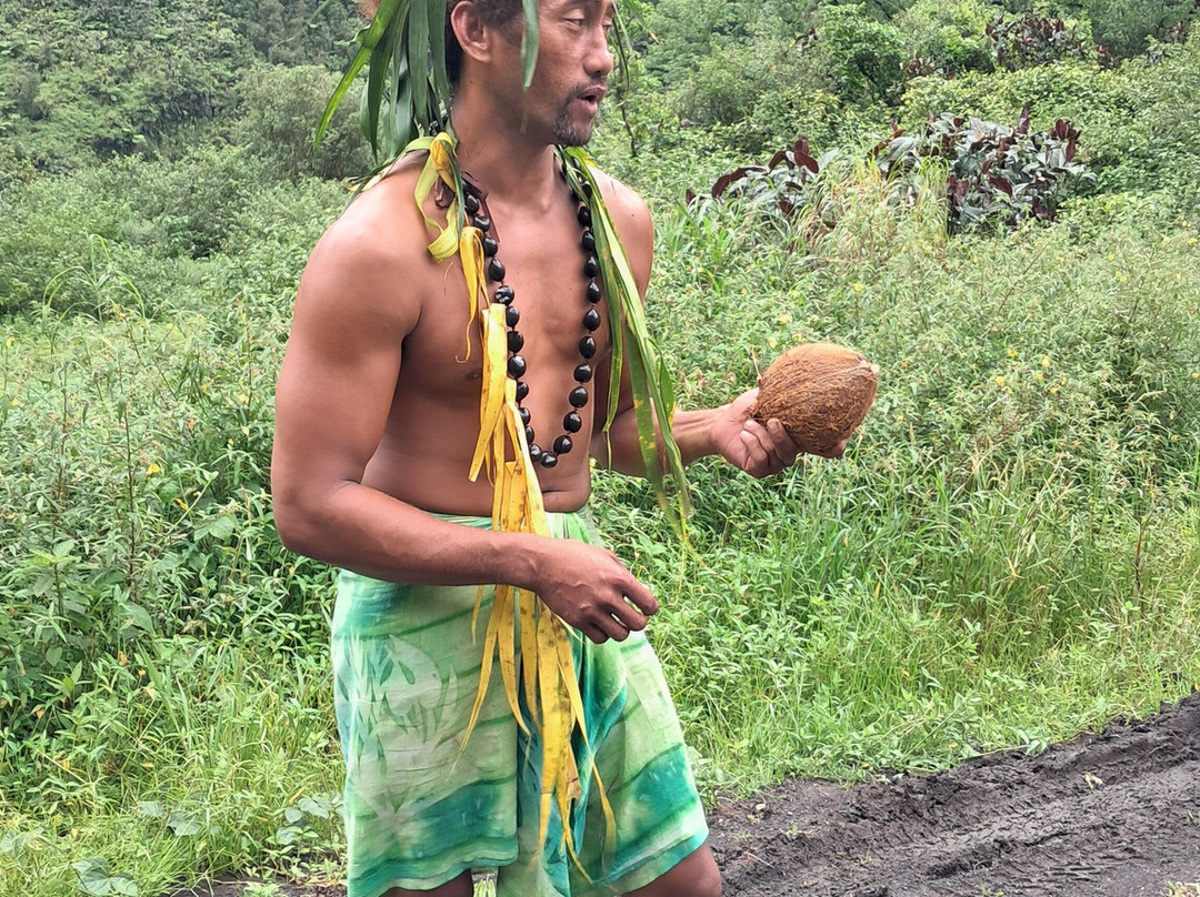 Marama Safari 4x4-法阿必去景点