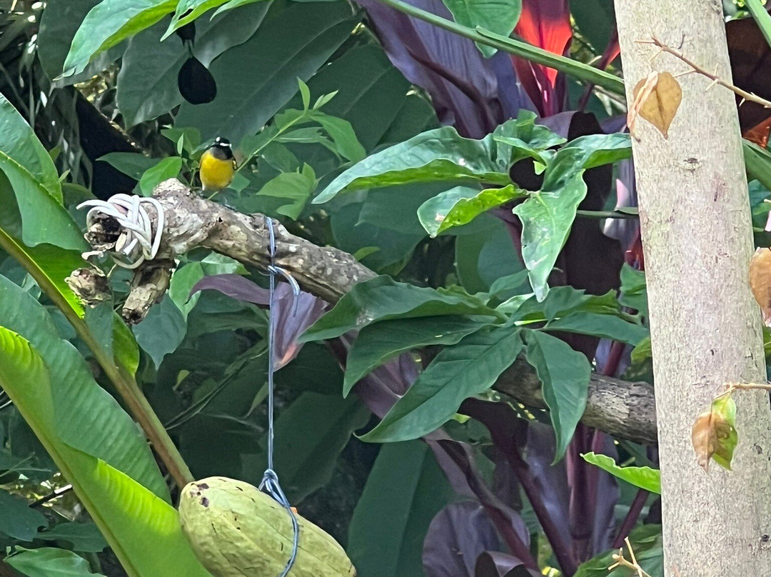 Adventure Farm and Nature Reserve-多巴哥必去景点