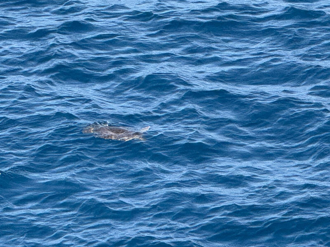 Luna Tours-Murdeira必去景点