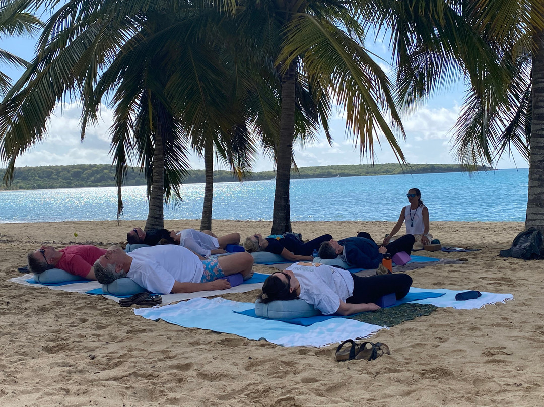 Vieques Wellness and Yoga-Vieques必去景点