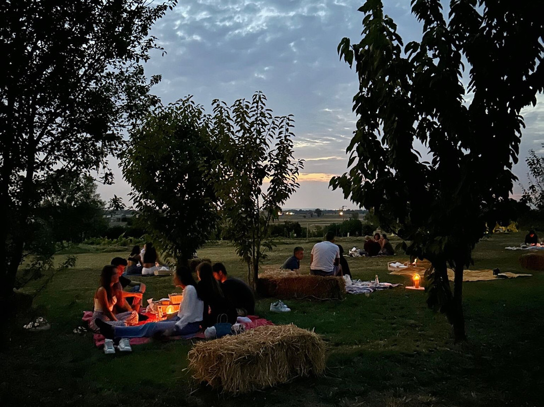 Rivergaro餐馆和美食-Agriturismo Gli Spinoni