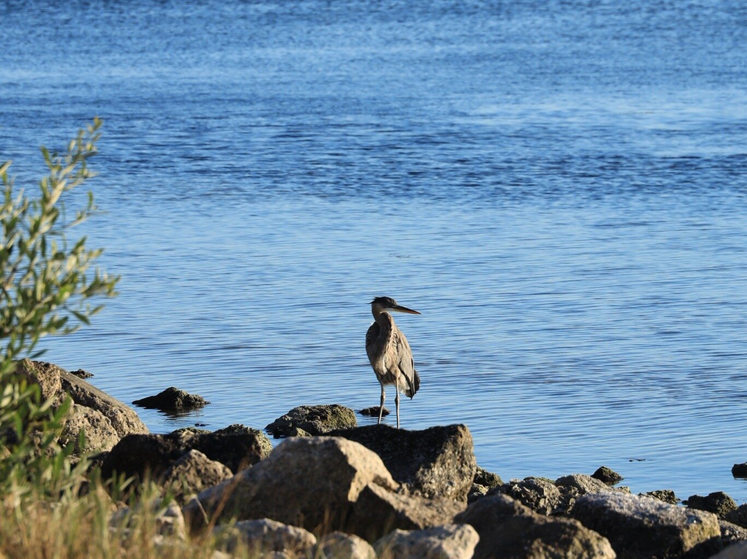 Skyway Fishing Pier State Park-圣彼德斯堡必去景点