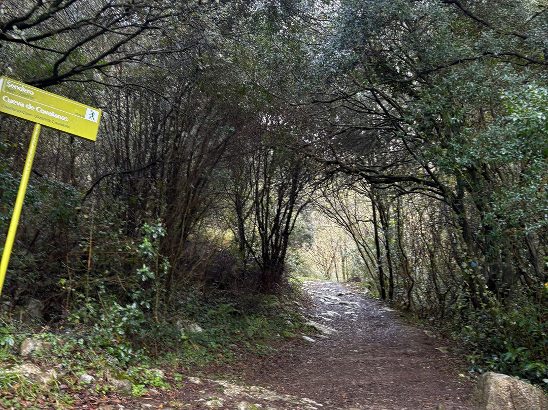 Cueva Covalanas-Ramales de la Victoria必去景点