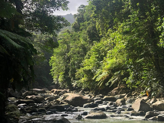 Best Rainforest Experience in Puerto Rico-Luquillo必去景点