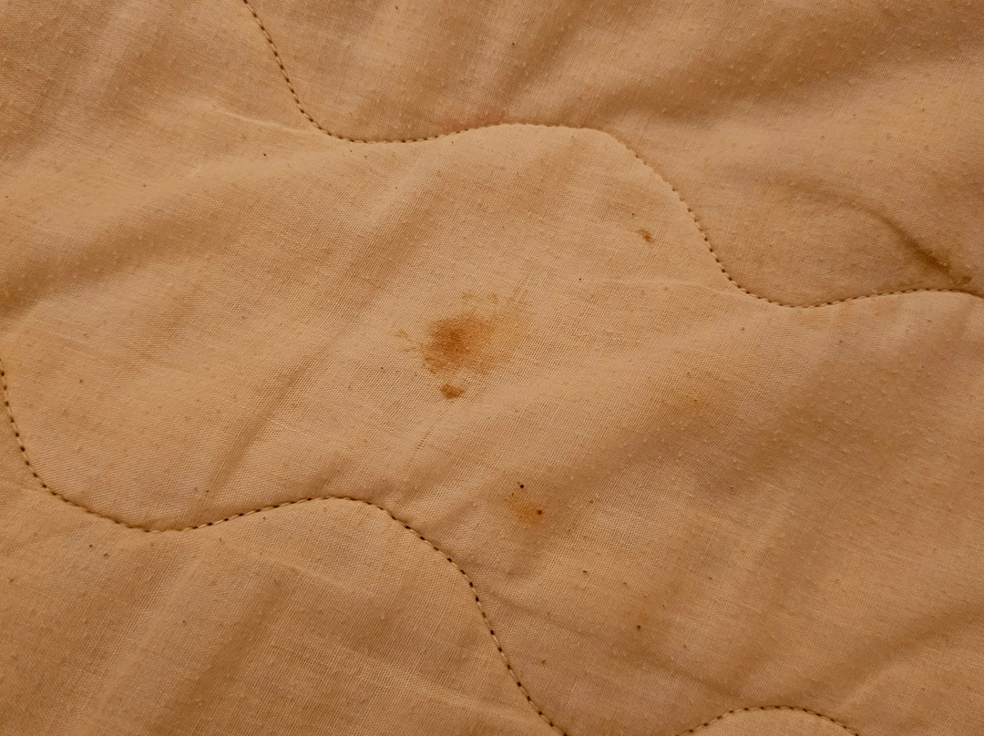 Chems Le Tazarkount主图