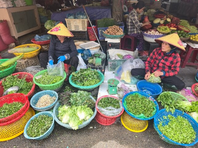 Island Smiles Retreat Hoi An Viet Nam-会安必去景点