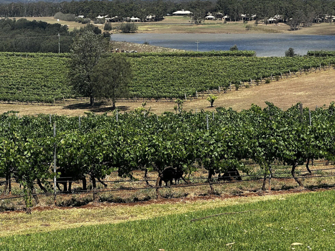 Scarborough Wine Co-波高尔宾必去景点