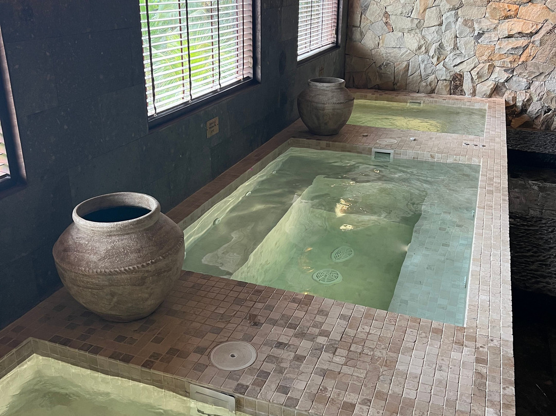 Ananda Spa by Samanvaya-席德门必去景点