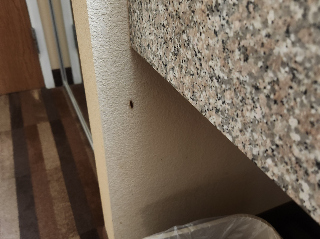 Best Western Manhattan Inn主图