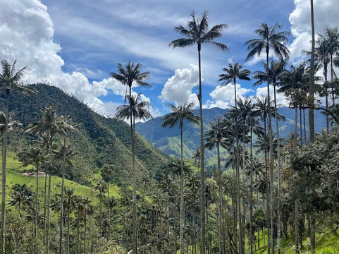Carbonera Valley Tour-萨伦托必去景点