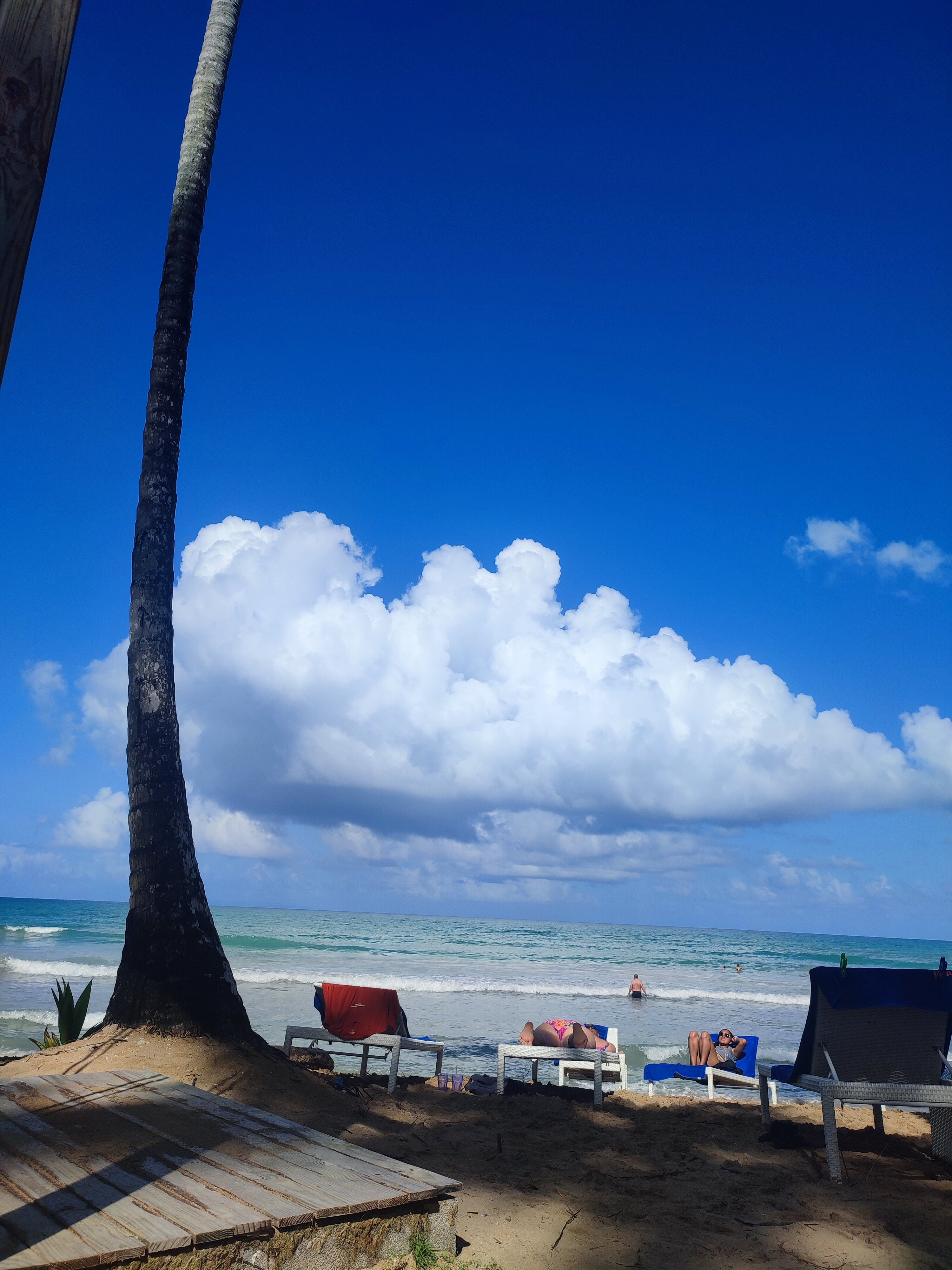 Viva V Samana By Wyndham A Trademark Adults All Inclusive-官方