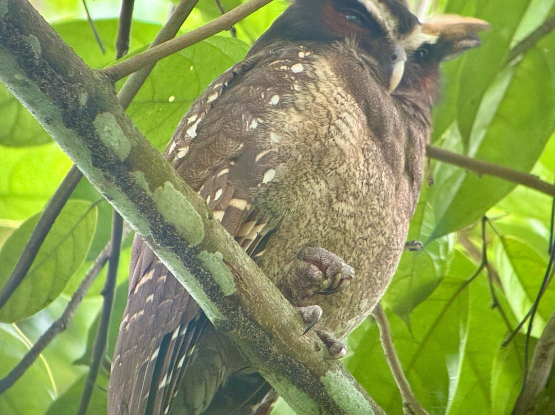 Costa Rica Focus-圣何塞必去景点