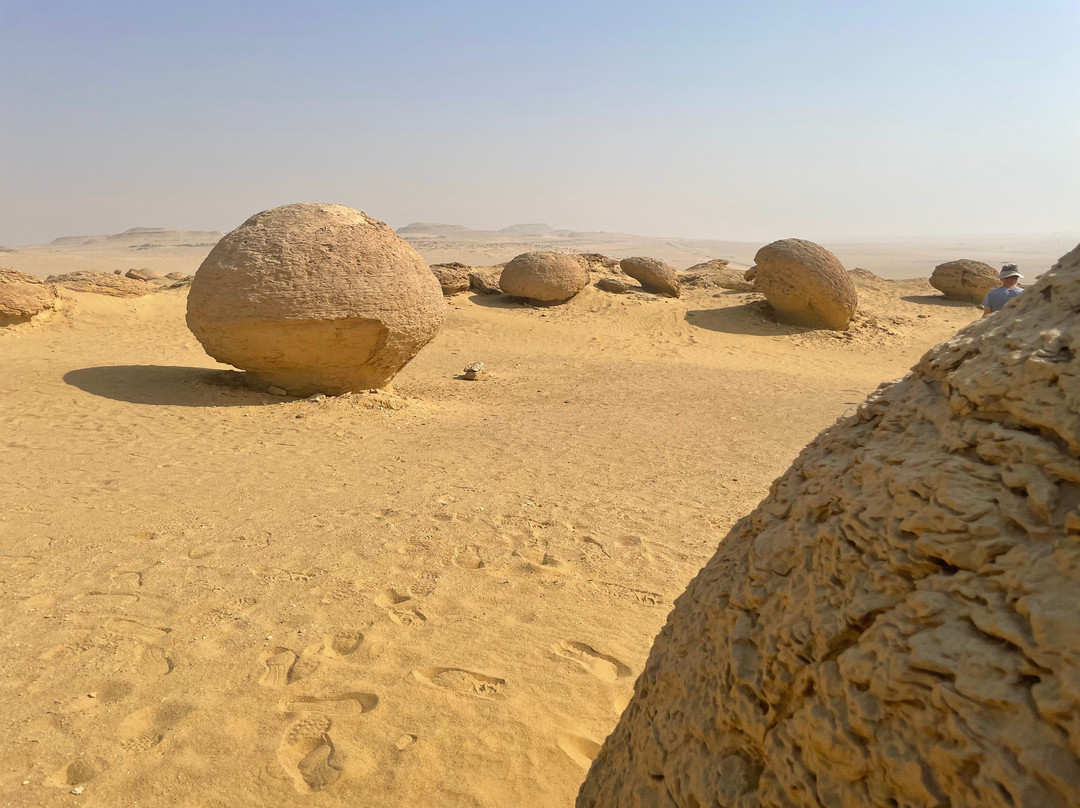 Explore Fayoum Tours-法尤姆必去景点