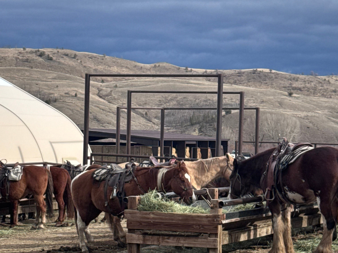 C Lazy U Ranch主图