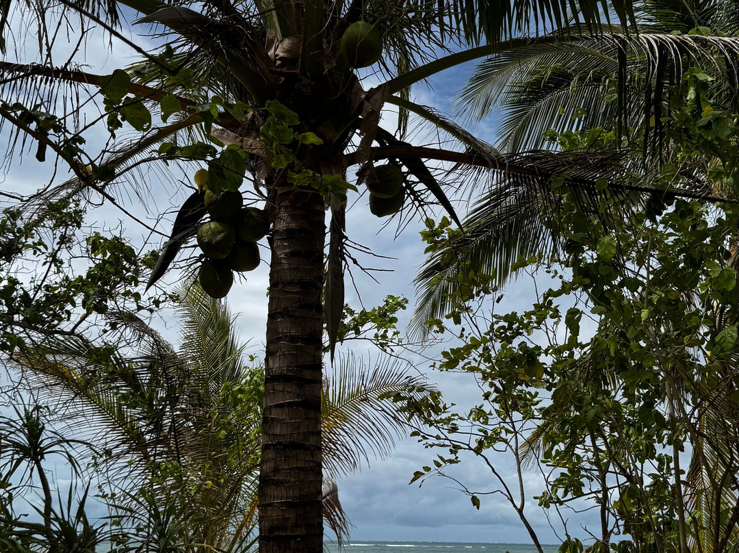 Balabac Tour By The Wanderwalkers-巴拉巴克必去景点