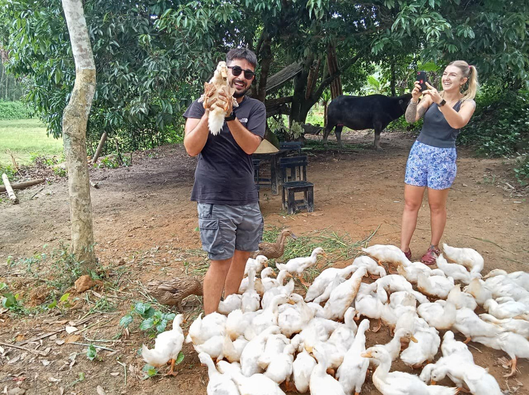 Indochine Junk-卡巴必去景点