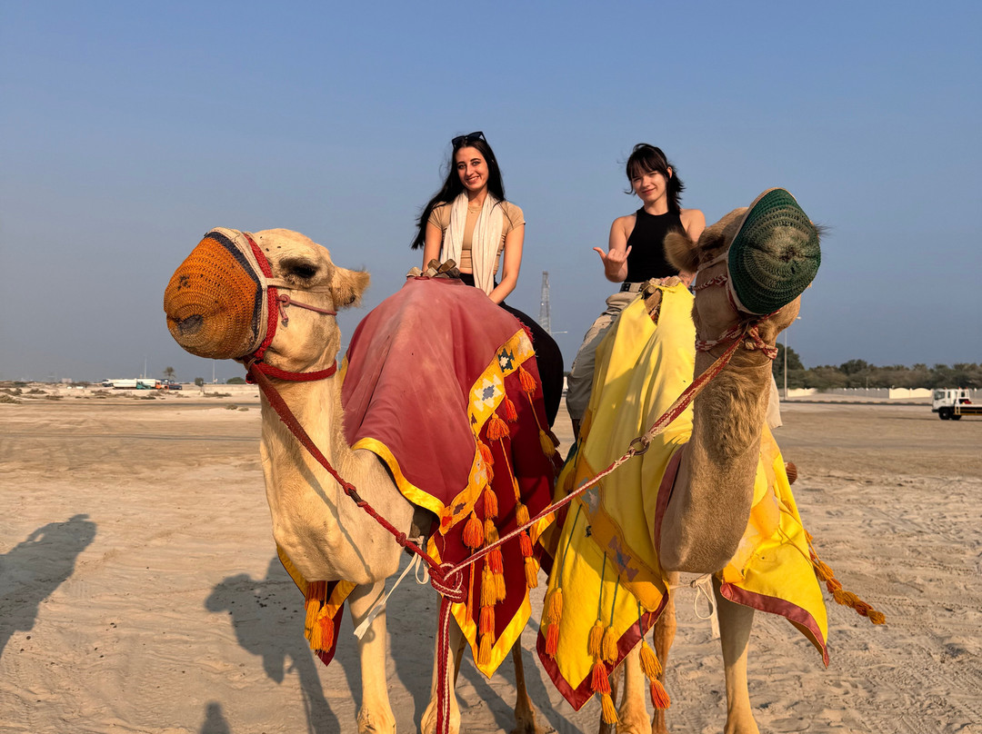 Doha Adventure & Tours-多哈必去景点