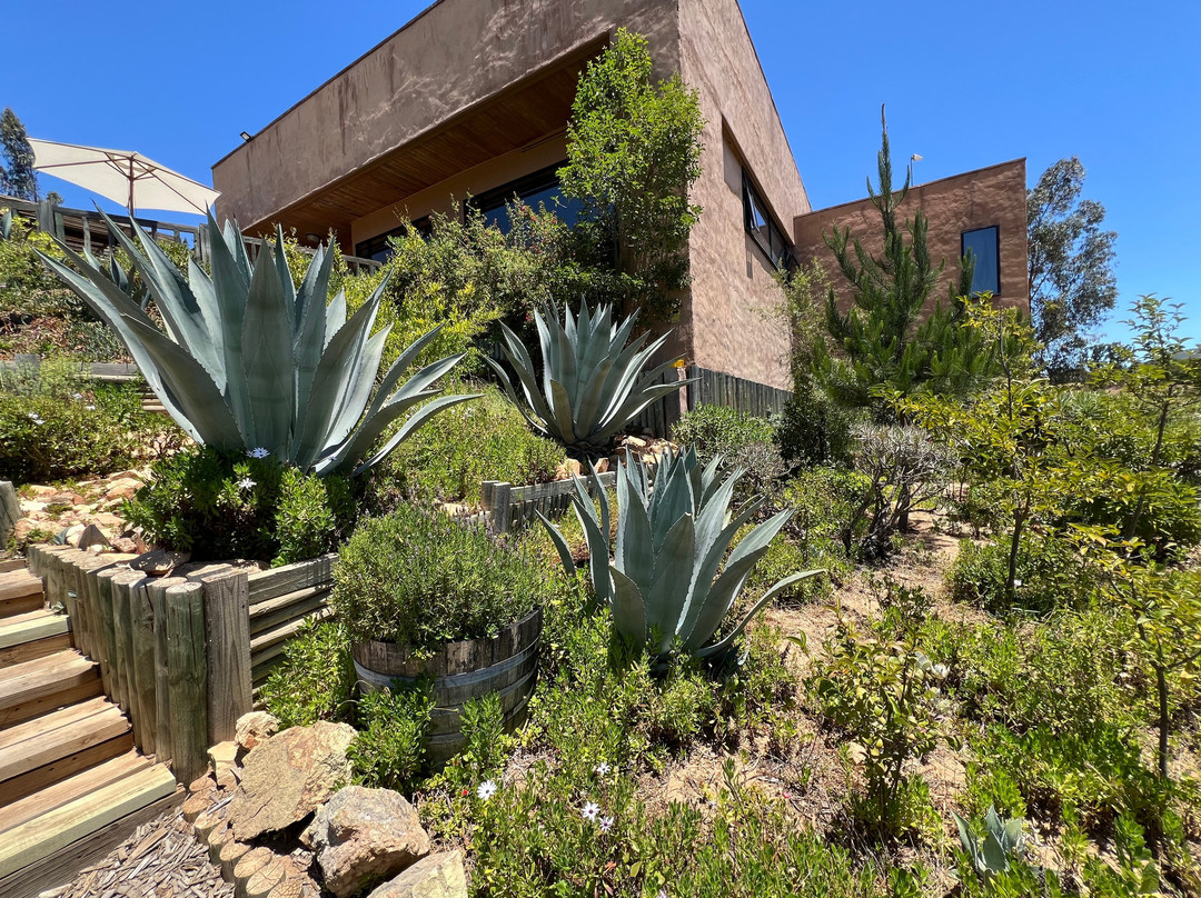 Villard Fine Wines-卡萨布兰卡必去景点