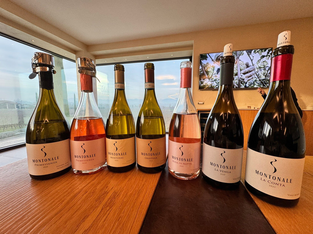 Montonale-代森扎诺-德尔加达必去景点