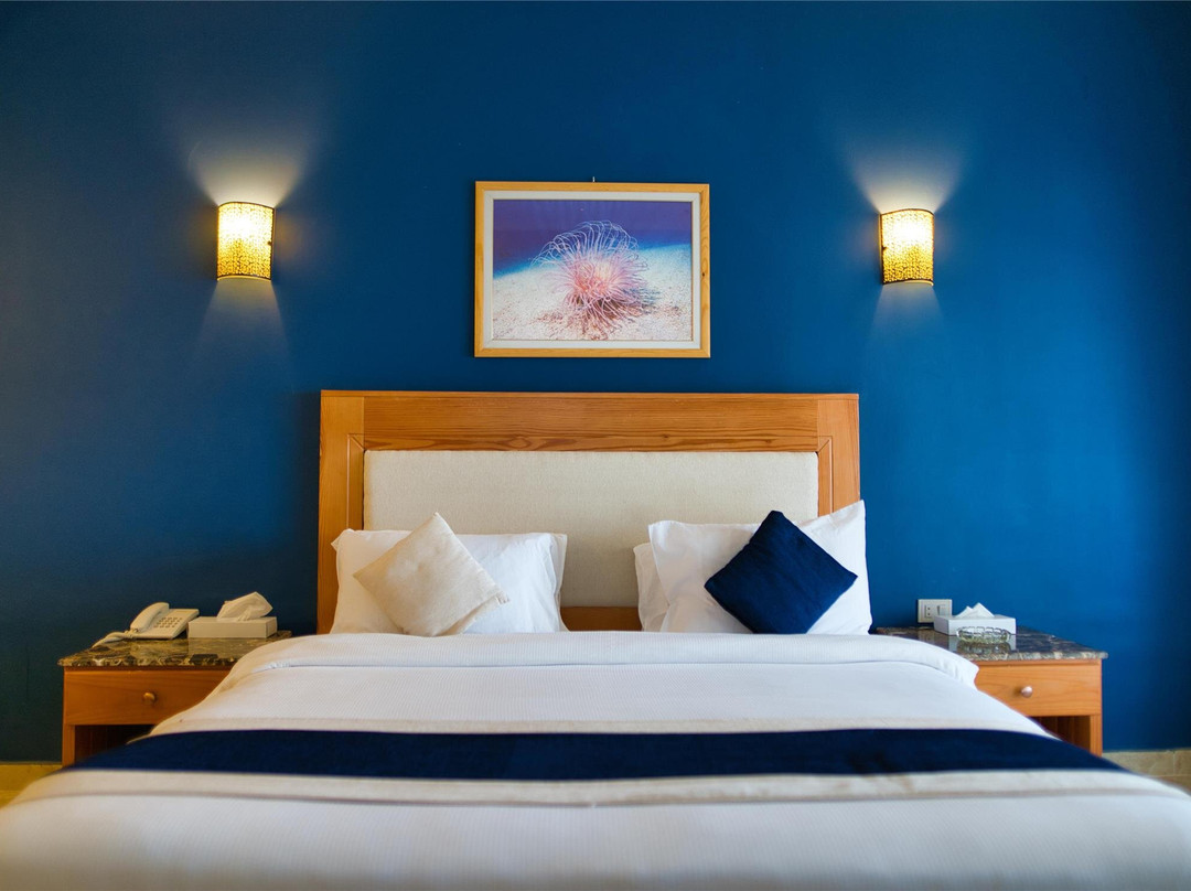 达哈布特罗皮泰绿洲度假村