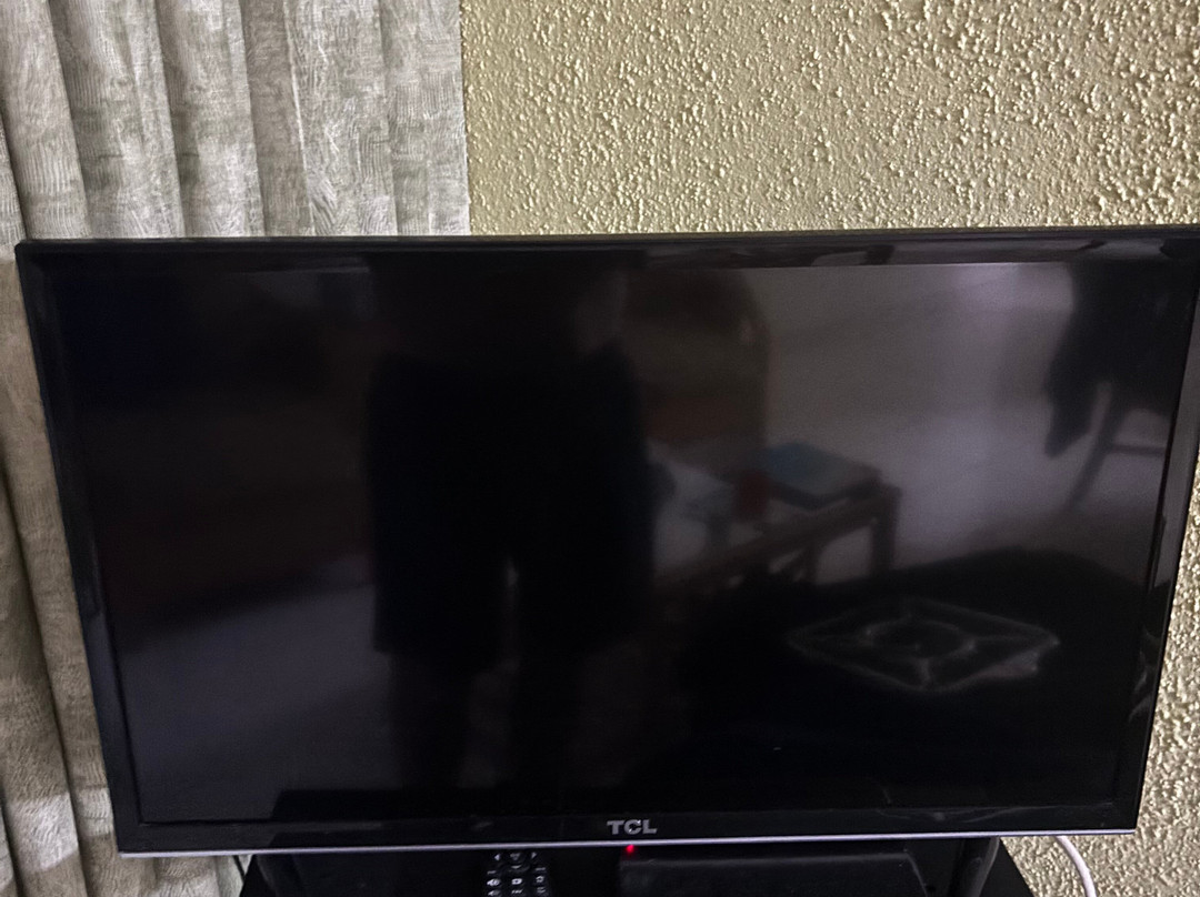 Plum Tree Club主图