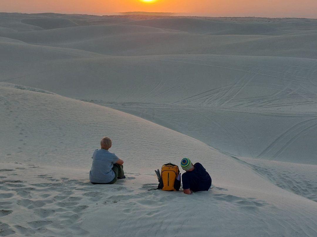Desert Camels Adventure Tours-尼日瓦必去景点