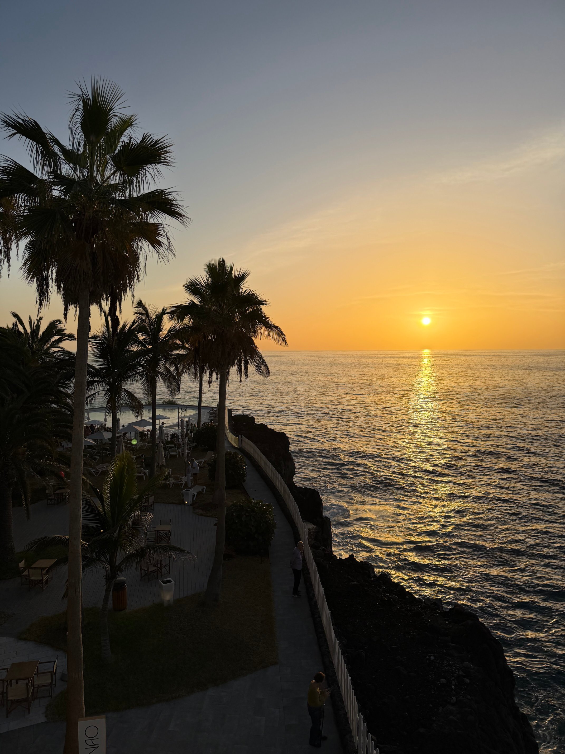 Meliá La Palma-官方