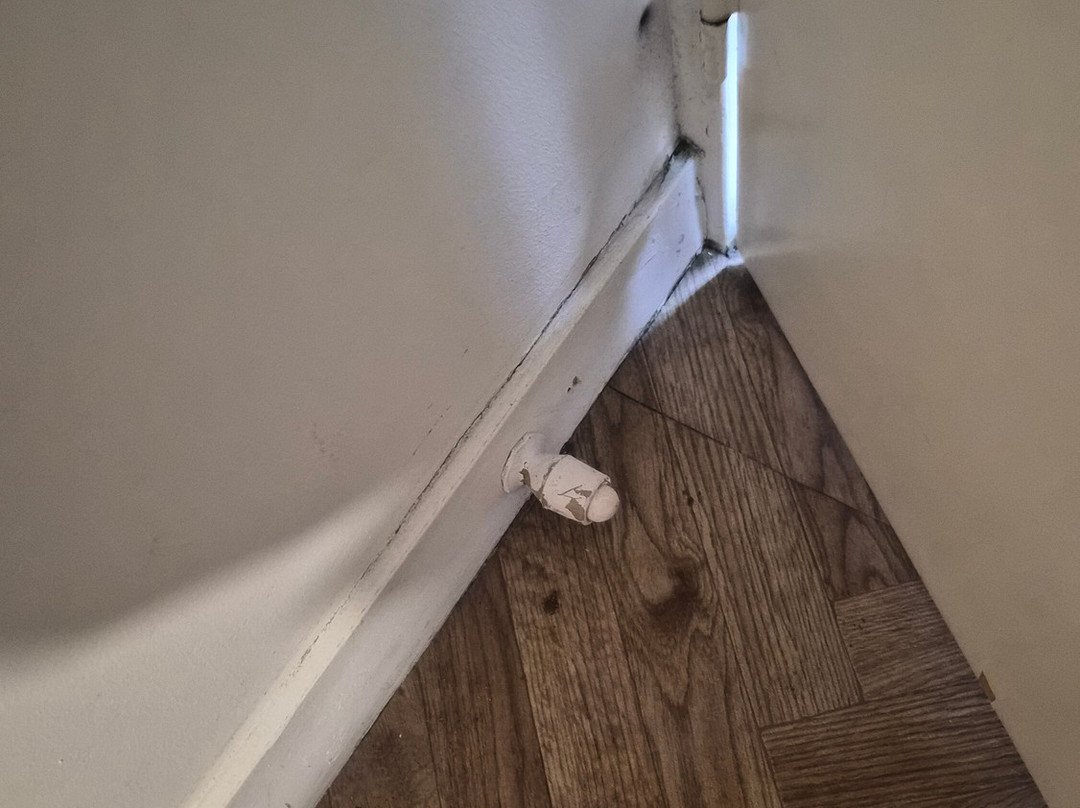 Au Relais Des Lilas主图