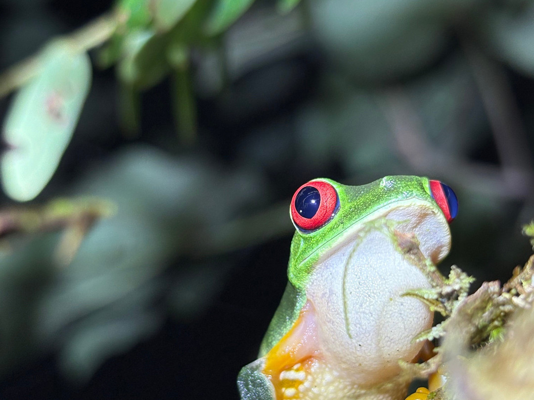 Santa Lucia Falls-乌维塔必去景点