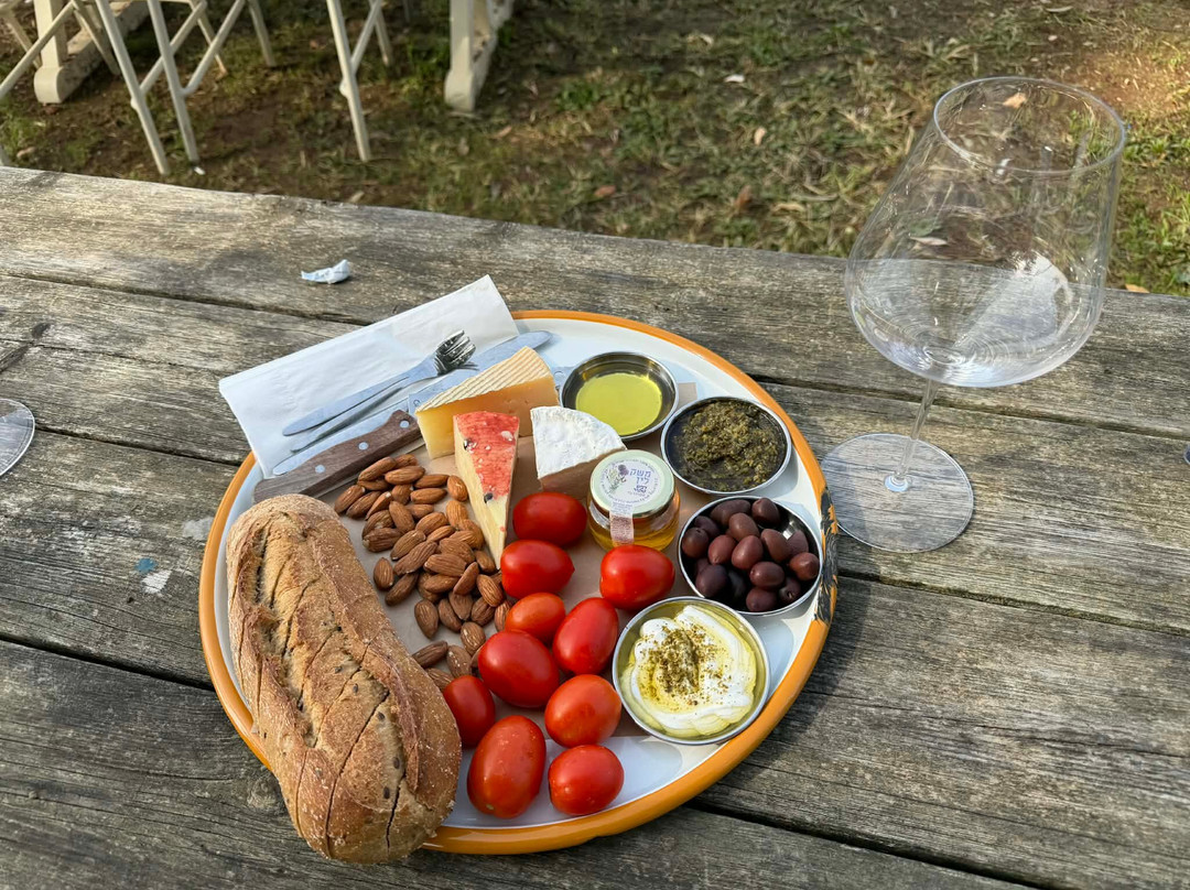 Israel Wine Tour-特拉维夫必去景点