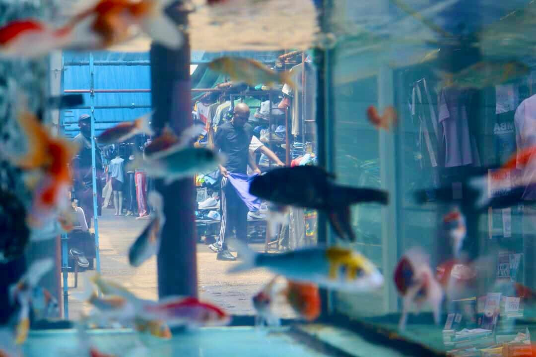 Avondale Flea Market-哈拉雷必去景点