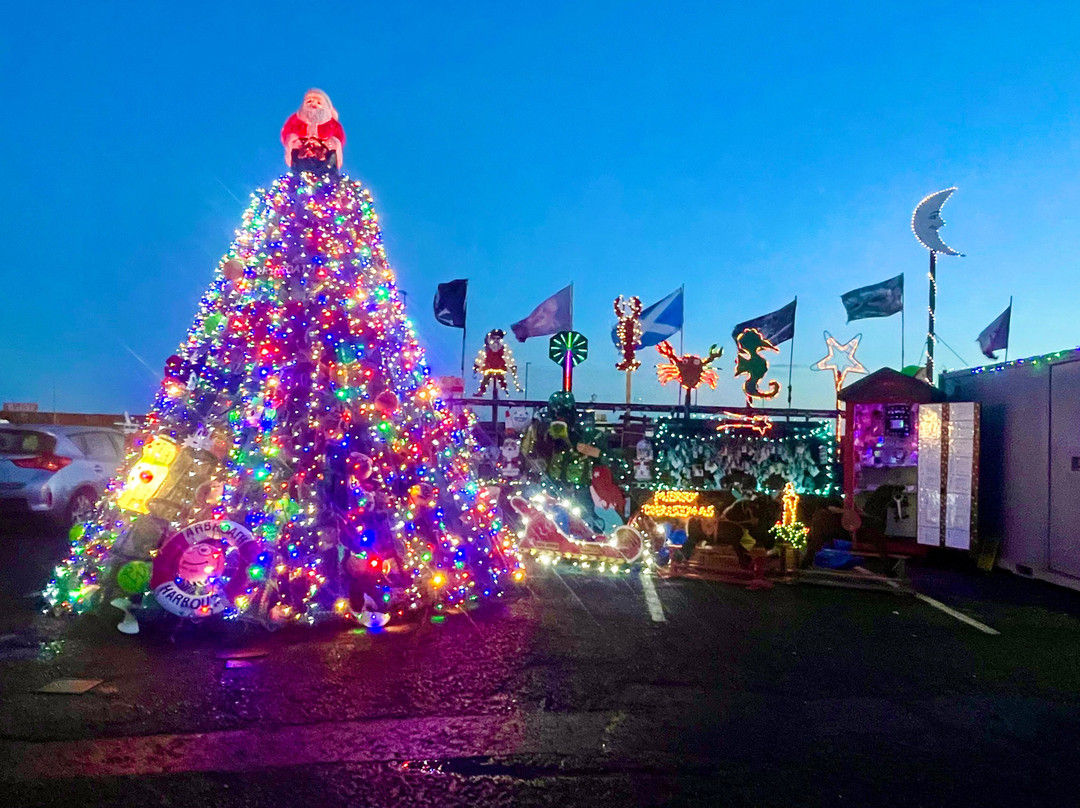 Arbroath Harbour-Arbroath必去景点